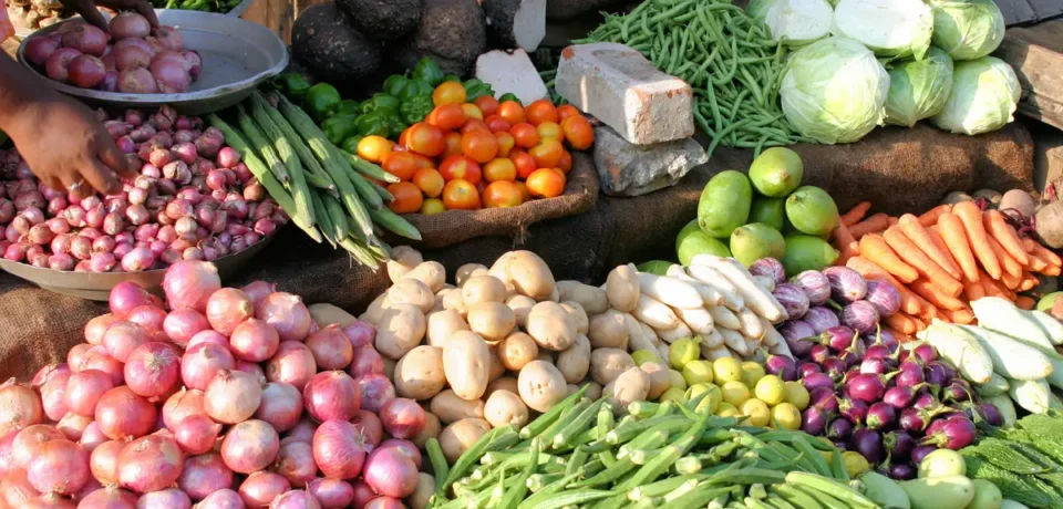 vegetable-exports-jump-20-on-strong-demand-lower-air-freight-and-goodwill
